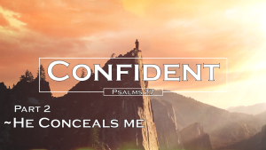 Confident_2_He Conceals Me